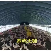 擅长将国外成熟的温室系统进行本土化改良和创