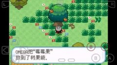 共同努力才能成功捕捉这些强大的口袋妖怪